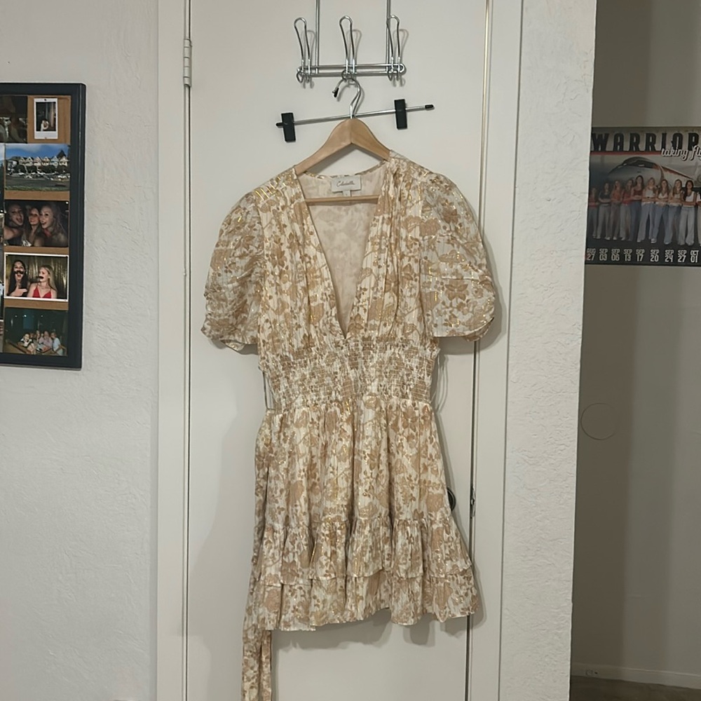 Cleobella dress
